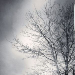 Low angle view of bare trees against sky