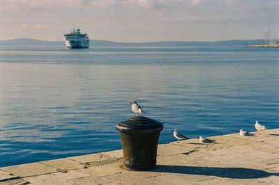 Scenic view of sea against sky with the seagull that waiting for the ship in the first plan 