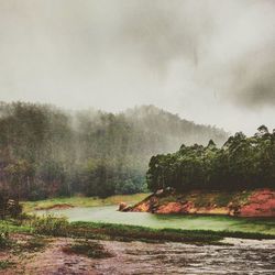 Scenic view of river against trees during rain