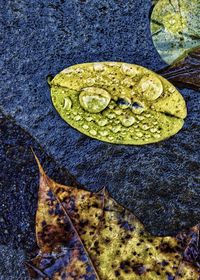 High angle view of coin on rock