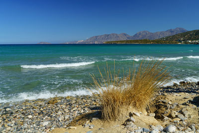 Scenic view of sea against clear blue sky