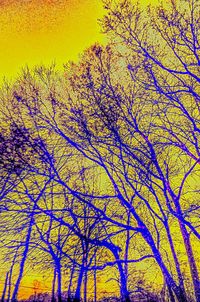 Close-up of tree against sky