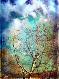 Low angle view of bare trees against sky