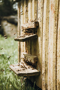 Close-up of rusty metal on wood