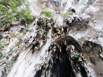 Rock formation amidst trees in forest