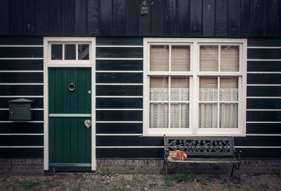 Cat sitting on bench against house