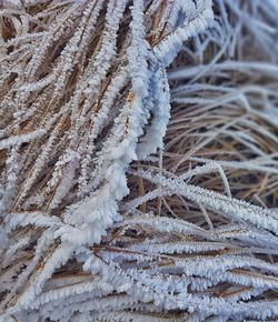 Close-up of frozen frost