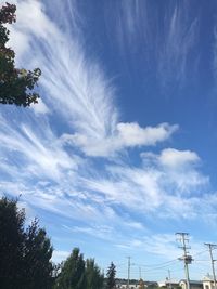 Low angle view of trees against sky