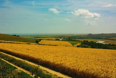 Scenic view of field against sky