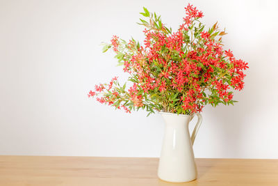 Close-up of flower vase on table against white background