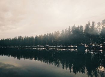 Scenic view of lake in forest against sky