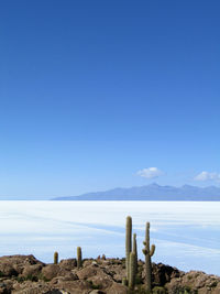 Scenic view of sea against clear blue sky