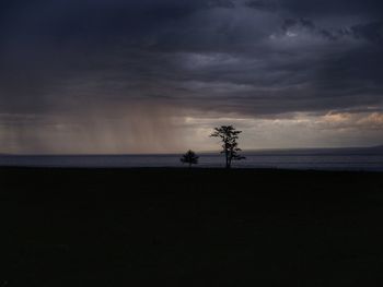 Silhouette tree on beach against sky at sunset