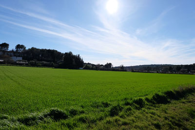 Scenic view of landscape against sky