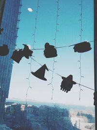 Low angle view of silhouette birds against clear sky