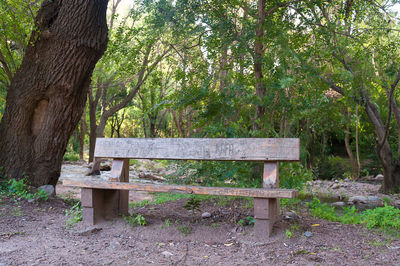 Empty bench in park