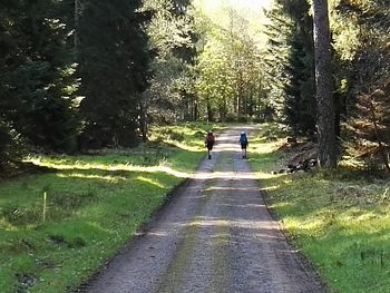 People walking on road