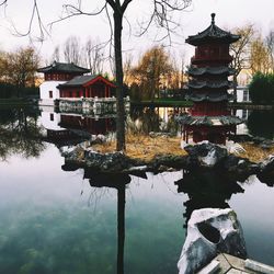 Reflection of trees in pond