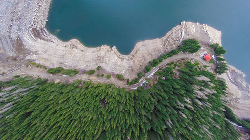 High angle view of plants and trees against sky