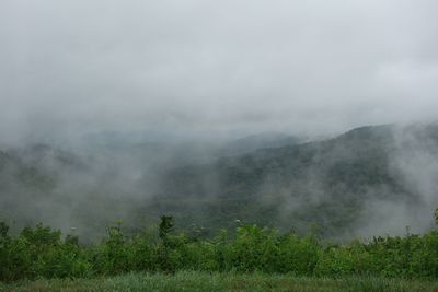 Scenic view of landscape against sky