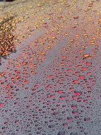 High angle view of raindrops on road