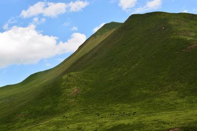 Scenic view of green landscape against sky