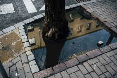 Low section of person standing on footpath in puddle