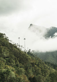 Scenic view of mountains against sky with clouds