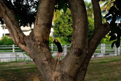 Side view of man in tree trunk