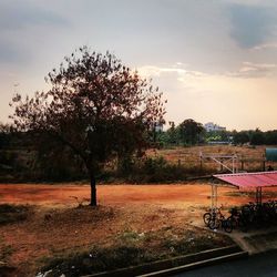 Trees on field against cloudy sky