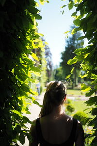 Rear view of woman amidst trees
