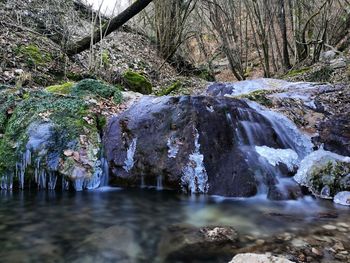 Close-up of waterfall against trees