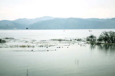 Scenic view of lake and mountains against sky