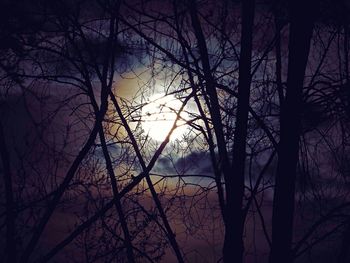 Silhouette bare trees against sky at sunset