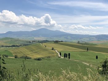 Scenic view of farm against sky