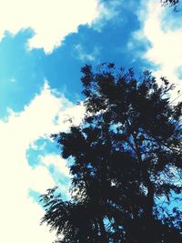 Low angle view of tree against sky