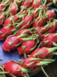 High angle view of red chili peppers in market