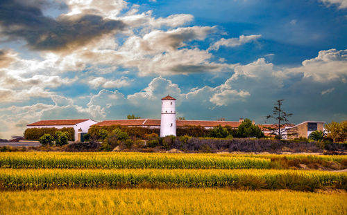 Scenic view of field against sky