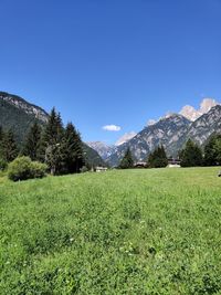 Scenic view of field against blue sky