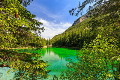 Scenic view of lake by trees against sky