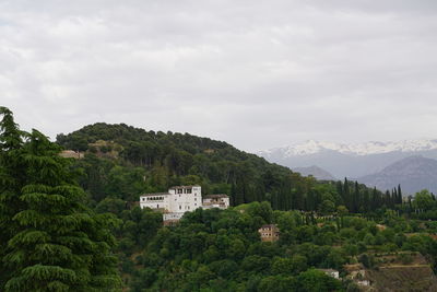 Scenic view of trees and mountains against sky