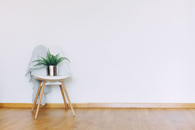 Potted plant on hardwood floor against wall