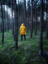 Rear view of man wearing yellow raincoat while standing in forest