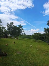 Scenic view of grassy field against sky