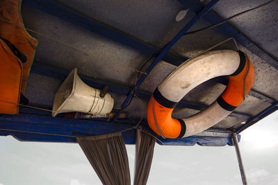Close-up view of leaves