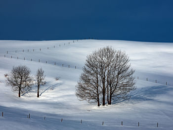 Bare tree on snow covered field against sky