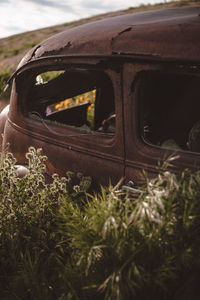 Close-up of old vintage car on field