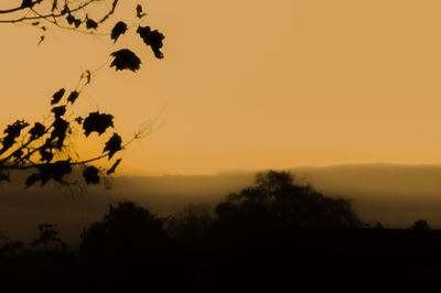 Silhouette trees against sky at sunset