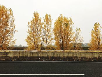 Road by trees against clear sky