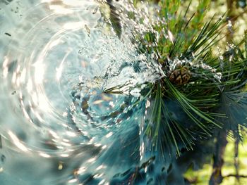 Full frame shot of water surface